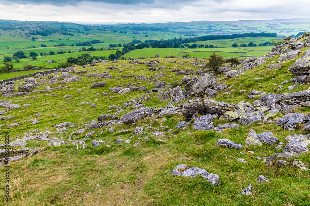 A view of the rock strewn slopes of Ingleborough, Yorkshire, UK in summertime