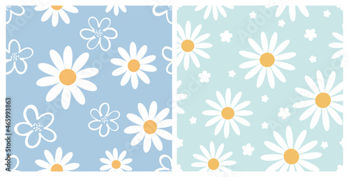 Seamless patterns with cute hand drawn daisy flower on pastel blue and green backgrounds vector illustration. 