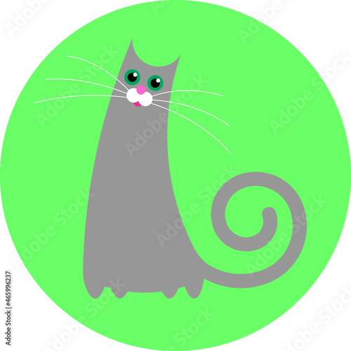funny grey cat in a circle
