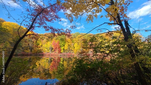 Fall Foliage and Lake Color explosion