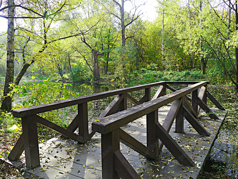 wooden bridge in the park wooden bridge in the park