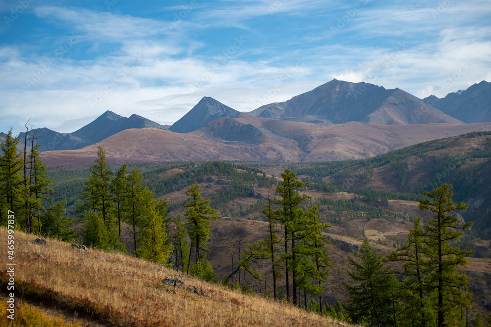 Fototapeta premium autumn in the mountains