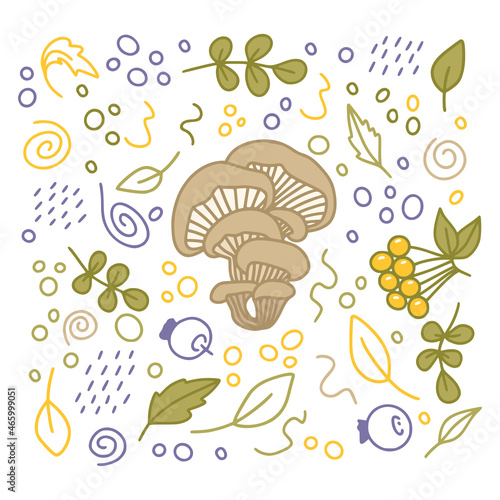 Mushroom set with leaves and berries in color isolated on a white background for autumn or thanksgiving cards, t-shirt design, coloring page. Vector illustration photo