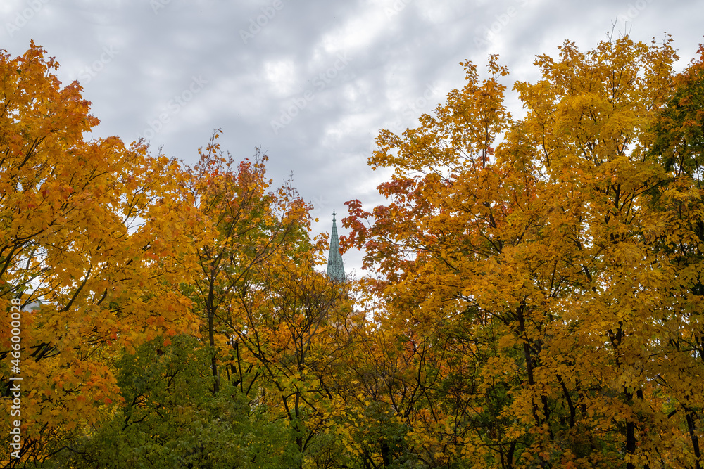 Fototapeta premium Autumn in Berlin