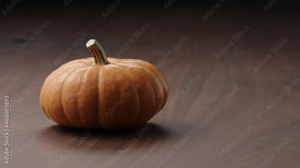 Slow motion small orange pumpkin fall in frame on walnut table with copy space and thanksgiving card Slow motion small orange pumpkin fall in frame on walnut table with copy space and thanksgiving card