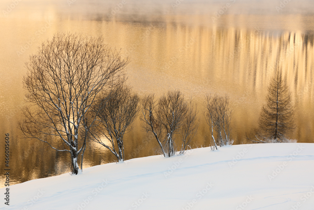 Goldene Stimmung am See Goldene Stimmung am See