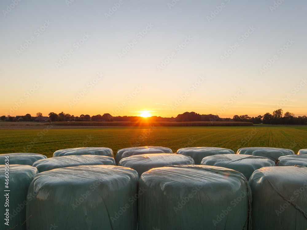 Fototapeta premium Sonnenuntergang im westlichen Münsterland