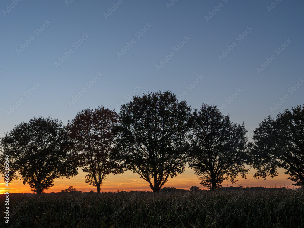 Fototapeta premium Sonnenuntergang im westlichen Münsterland