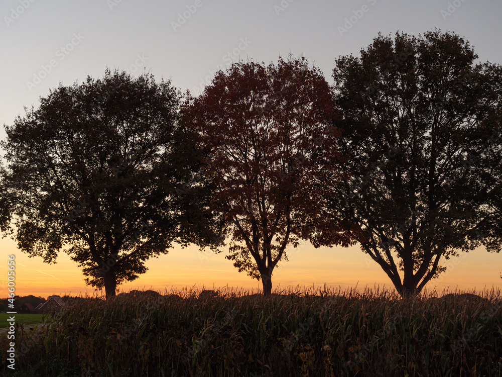 Sonnenuntergang im westlichen Münsterland Sonnenuntergang im westlichen Münsterland