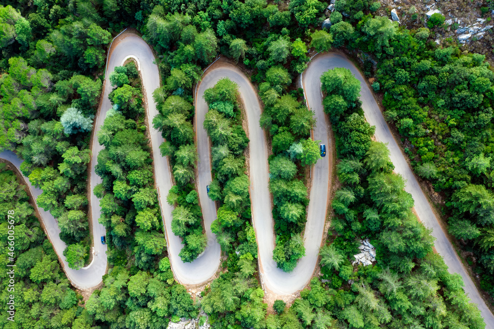 View from above, stunning aerial view of a serpentine road surrounded by green pine trees. Mount Limbara (Monte Limbara) Sardinia, Italy.