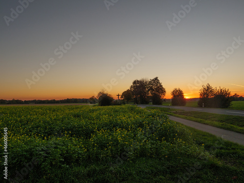 Fototapeta Naklejka Na Ścianę i Meble -  Sonnenuntergang im westlichen Münsterland