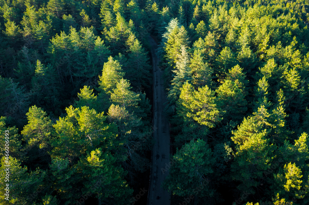 View from above, stunning aerial view of a green forest with a road surrounded by beautiful pine trees. Mount Limbara (Monte Limbara) Sardinia, Italy View from above, stunning aerial view of a green forest with a road surrounded by beautiful pine trees. Mount Limbara (Monte Limbara) Sardinia, Italy