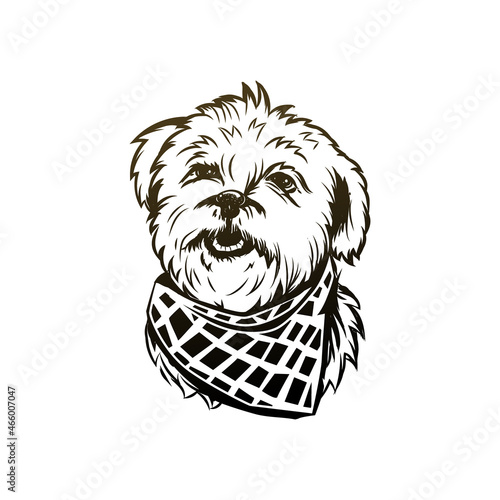 Hand drawn portrait lapdog. Dog, pet, animal sketch.