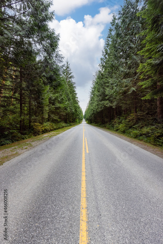 Scenic Road in the Green Canadian Rain Forest. Golden Ears Provincial Park, Greater Vancouver, British Columbia, Canada. © edb3_16
