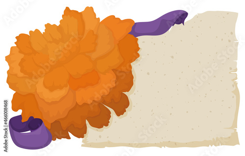 Template with scroll  marigold flower and purple ribbon  Vector illustration