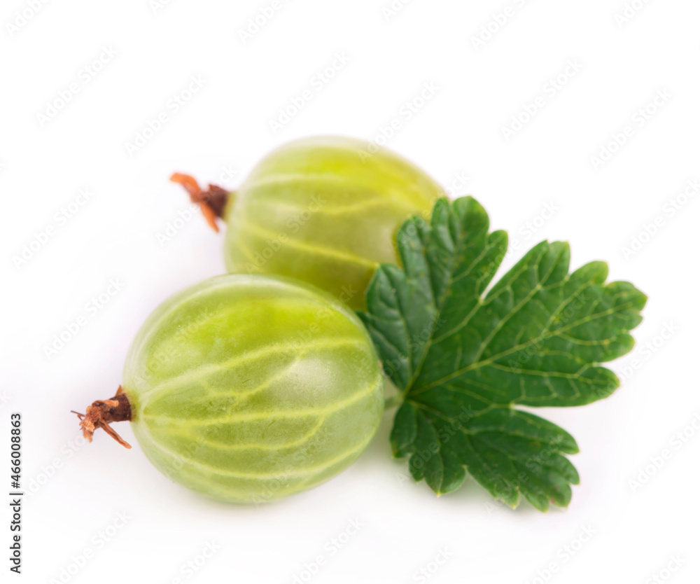 organic food, healthy food, green gooseberry fruits with leaf on white organic food, healthy food, green gooseberry fruits with leaf on white