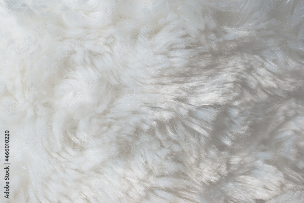 Fototapeta premium white fur background close-up beautiful abstract texture