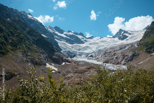 Mountain lake  herbs  plants  glacier in the distance  mountain peaks in the snow  landscape in the mountains