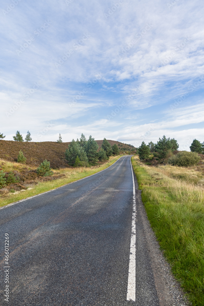 A scenic view of a rural road in the mountains with grass and trees under a majestic blue sky and some white clouds