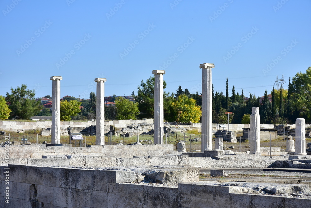Fototapeta premium archeological site in Pella in Greece