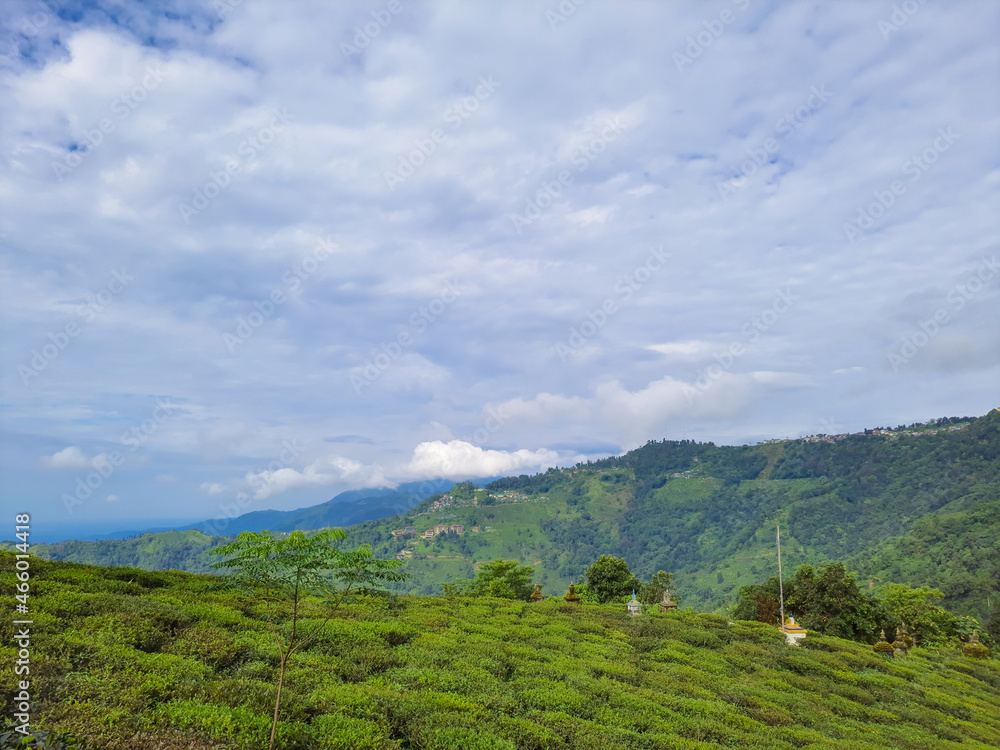 mountain tea garden view with bright blue sky at morning from flat angle