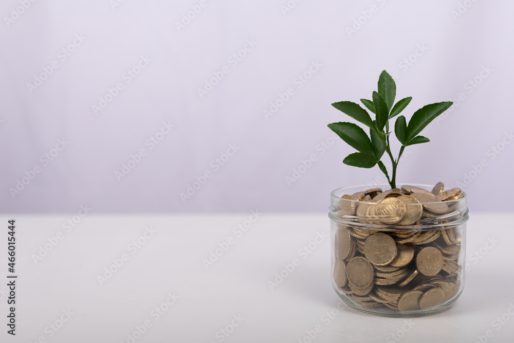 entwicklung geld entwicklung geld