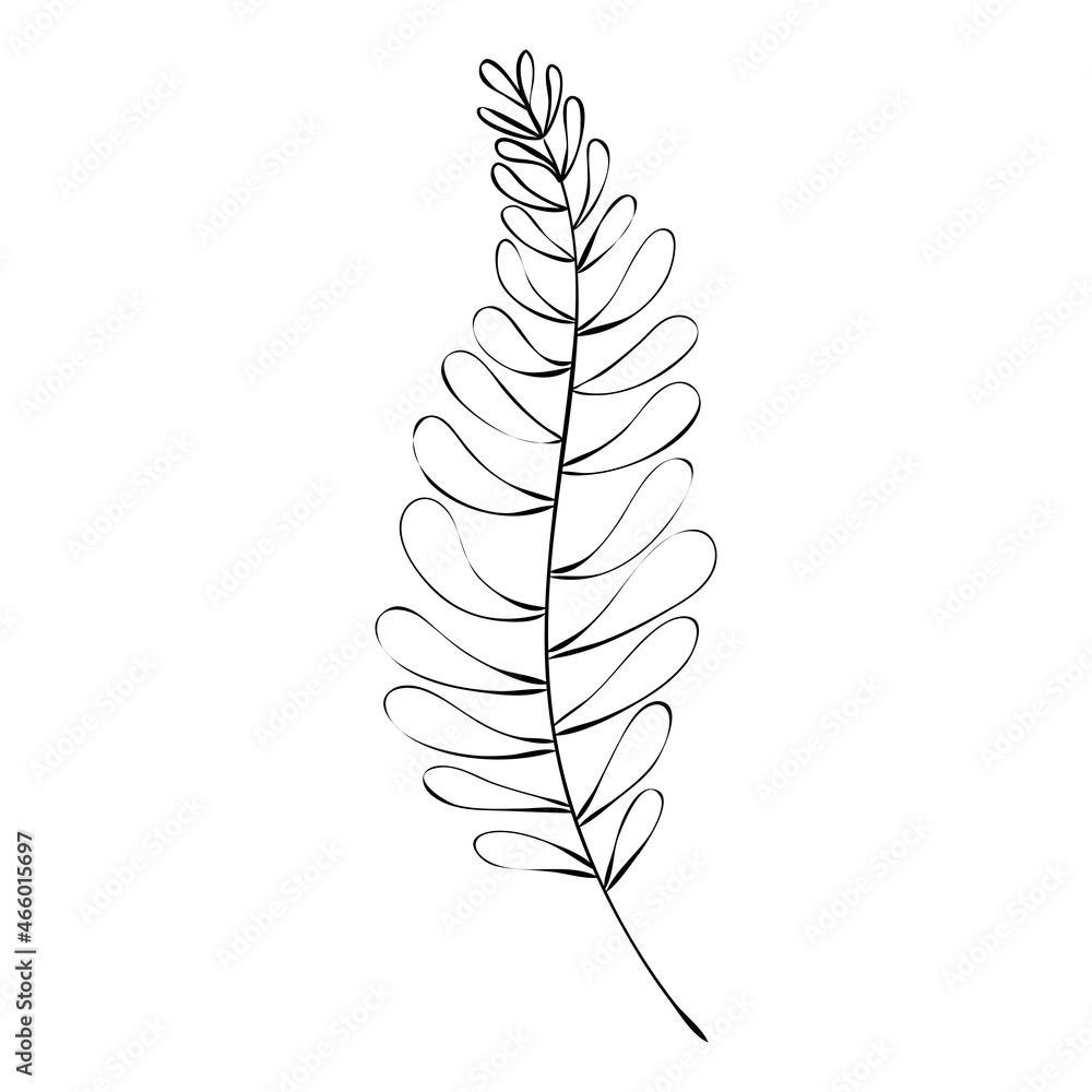 Sketch a leaf branch by hand on an isolated background.