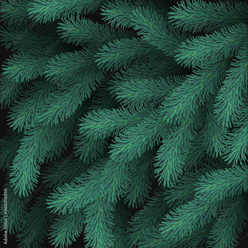 Christmas background of fir twigs.  Highly realistic illustration.