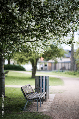 Bench in the park © Vita