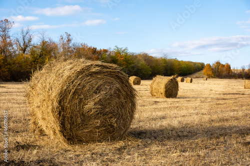 A harvested autumn field with straw bales