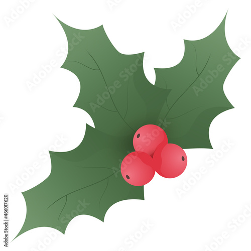 Berry and leaves icon. Merry Christmas season decoration isolated on white background.