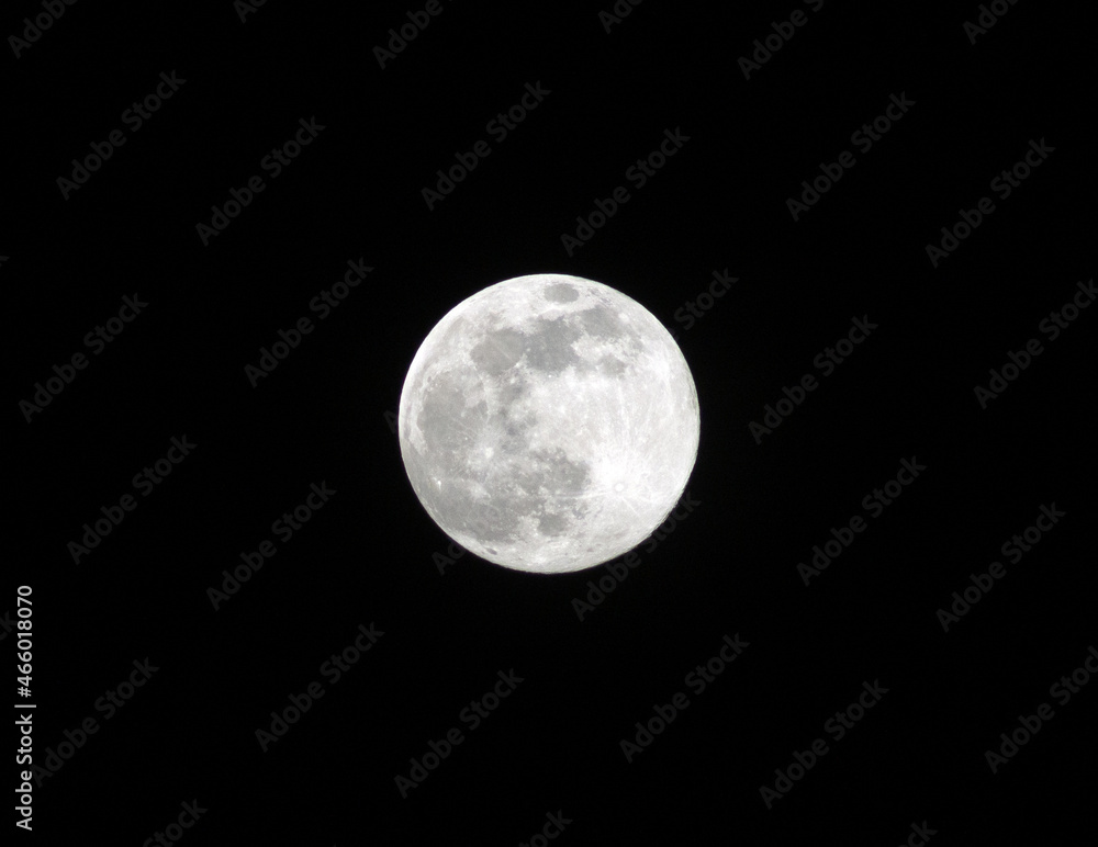 Lune Lune
