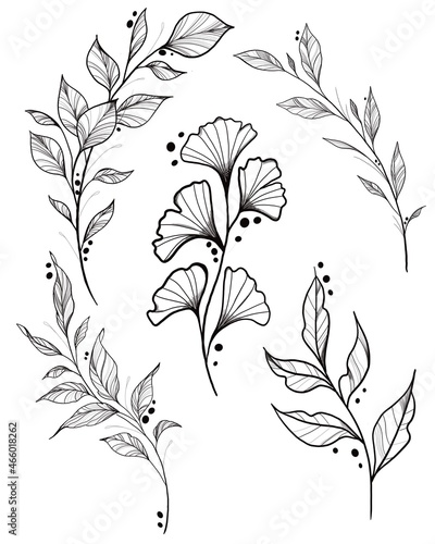 botany tattoo sketch - beautiful twig plant. Botanical element template for g...