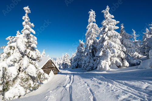 small wooden hut in winter with fluffy snow on fir tree