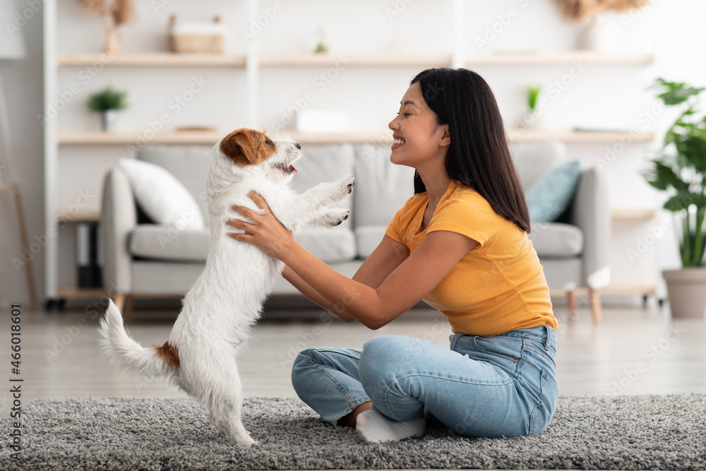 Happy korean lady having fun with her jack russel dog Happy korean lady having fun with her jack russel dog
