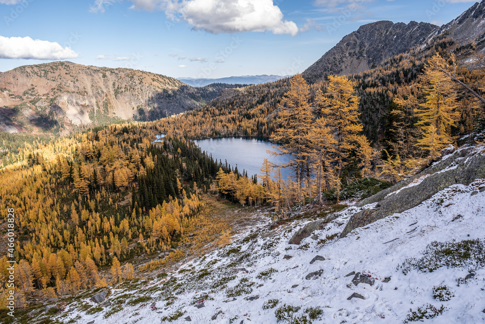 landscape in autumn