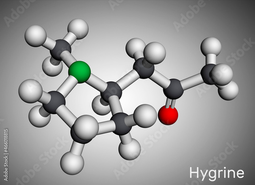 Hygrine pyrrolidine alkaloid molecule. It is found in the coca plant. Molecular model. 3D rendering photo