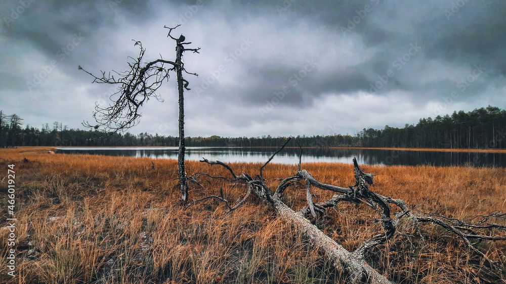 Obraz premium The autumn wild lake