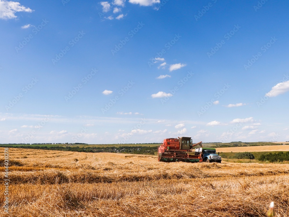 Obraz premium Combine harvester unloads grain into a dump truck in the field