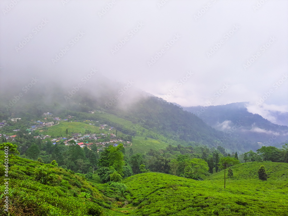 tea garden at misty mountain range amazing landscape covered with fog at morning