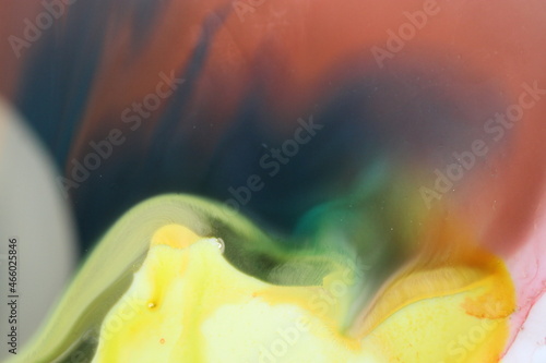 Abstract close up of a tulip