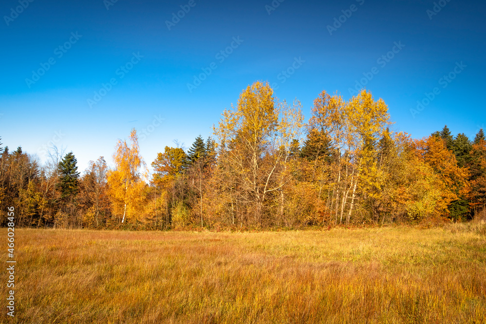 autumn in the mountains