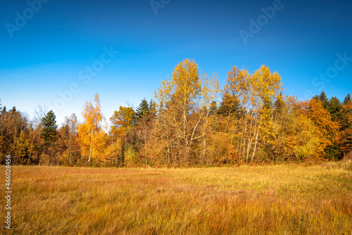 autumn in the mountains