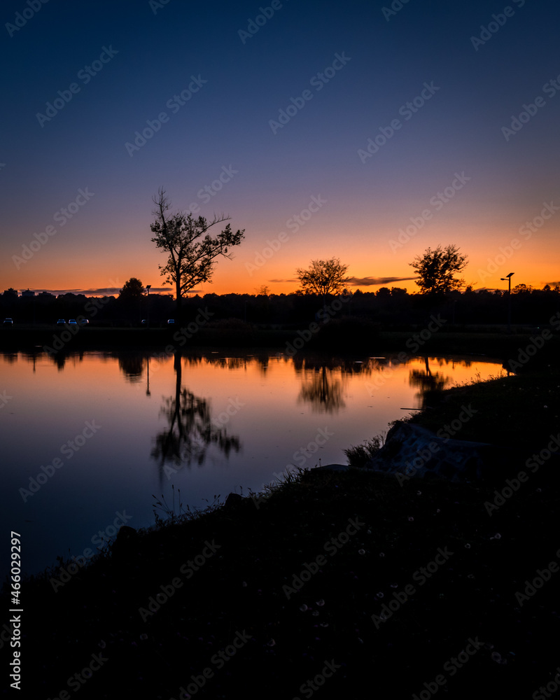 Sunset photo of a tree reflecting in the water, Tüskésrét, Pécs, Hungary