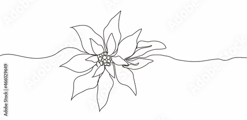 Continuous one line drawing. Concept  holiday, poinsettia flower isolated on white background. hand-drawn,  close-up. modern design. for print, banner, card, paper, poster. illustration
