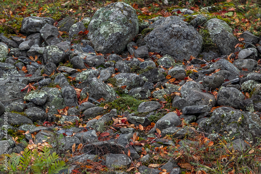 Pile of Gray Stones in Leaves Backdrop Rock Nature Texture Real Pattern Pile of Gray Stones in Leaves Backdrop Rock Nature Texture Real Pattern