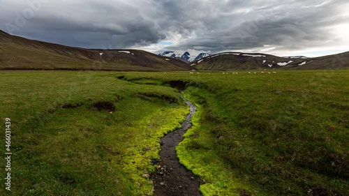 4k video time lapse of a flock of sheep having lunch somewhere in the highlands of Iceland, with a building storm on top of the mountains in the background.