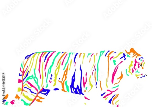 abstract modern silhouette of bengal tiger (Panthera tigris tigris) from side with colorful stripes, vector illustratin isolated on white background, realistic outline