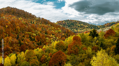 beautiful autumn landscapes in the Romanian mountains  Fantanele village area  Sibiu county  Cindrel mountains  Romania