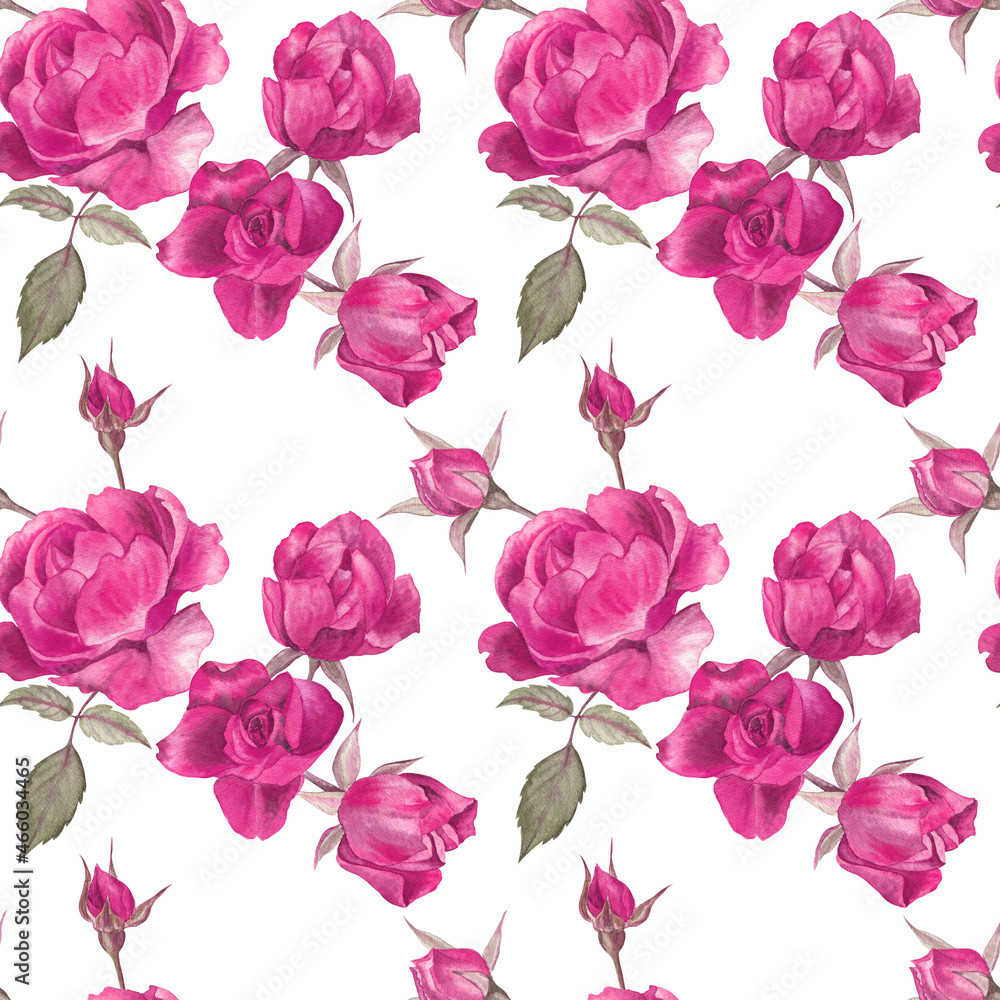 Floral seamless pattern with the purple roses painted in watercolor, on white isolate background. Elegant classical design for fabric, wrapping paper, wallpapers, stationery.